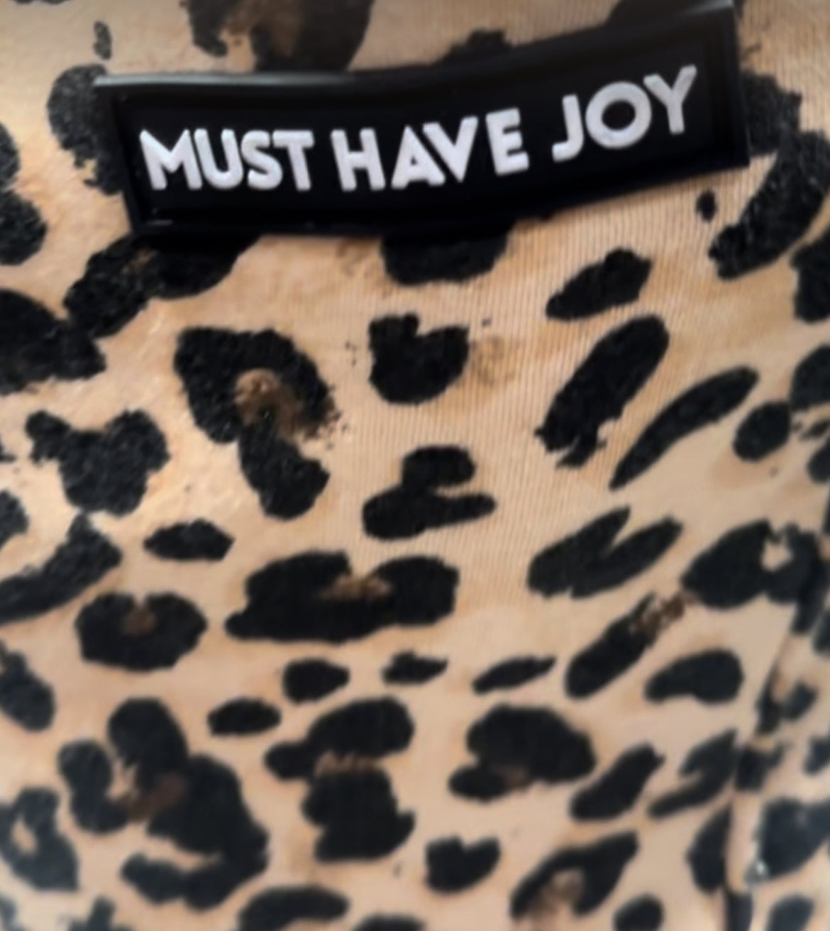 Joy on the Prowl Wide Leg Joggers