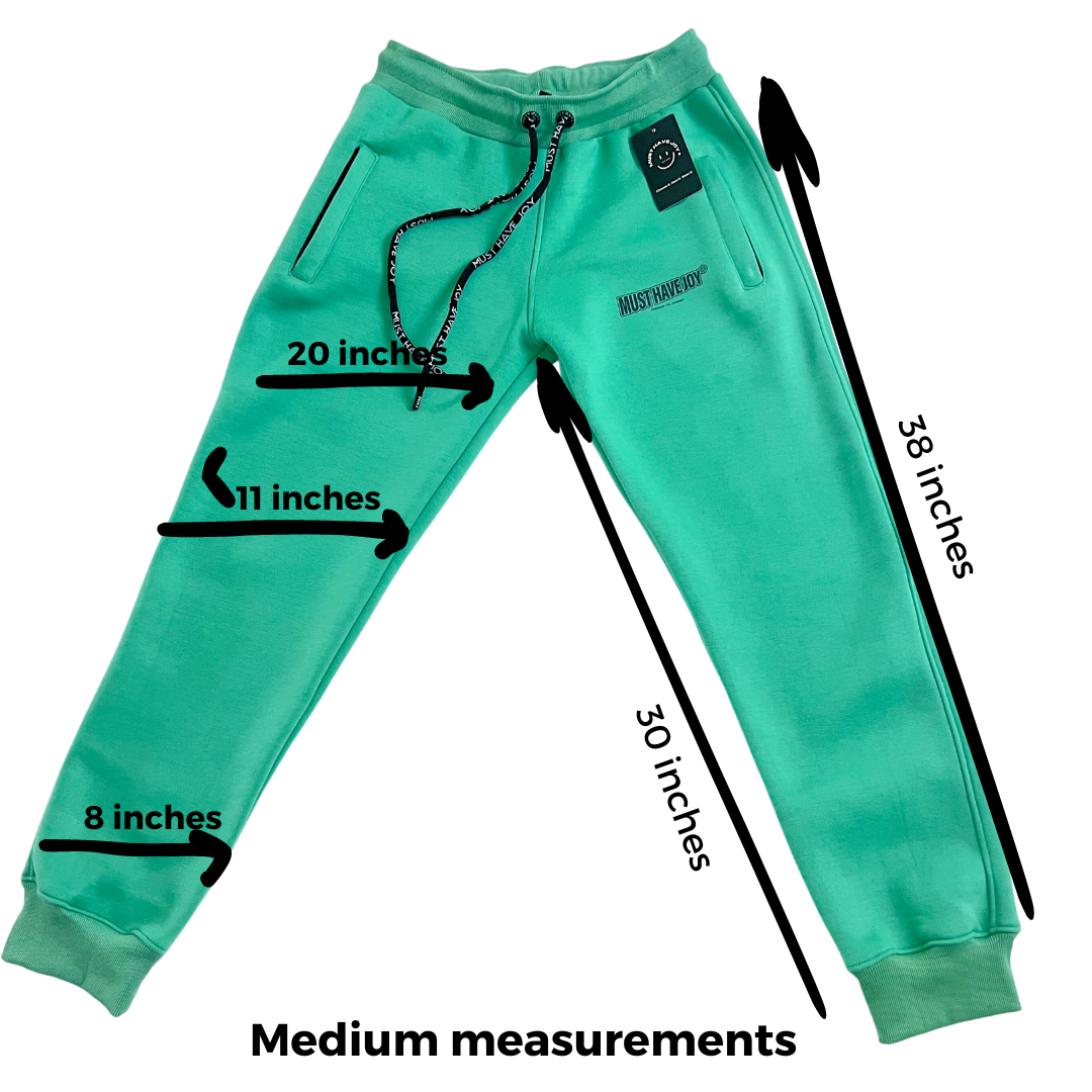 Embrace the Journey Joggers - Mint